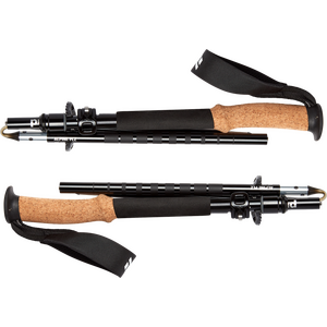 Black Diamond Alpine FLZ Trekking Poles
