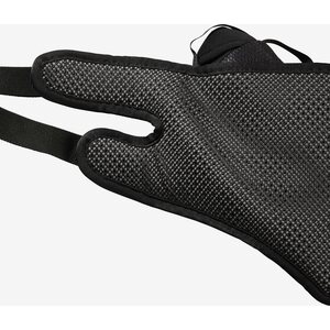Salomon RS Insulated Belt