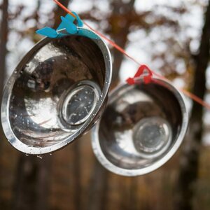 Solo Stove Flex Strap Bowls (no package)