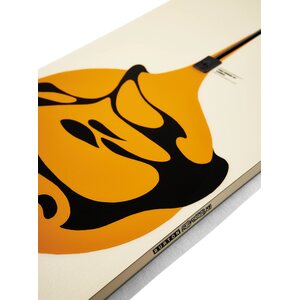 Burton Free Thinker Camber