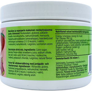 NOSHT Endurance Drink Mix - Urheilujuoma