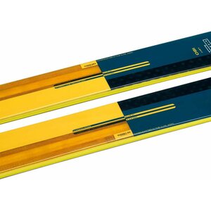 Elan RipStick 106 (2021)