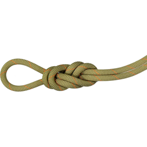 Mammut 9.9 Gym Workhorse Classic Rope metreittäin