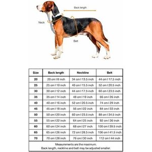Paikka Visibility Winter Jacket for Dogs