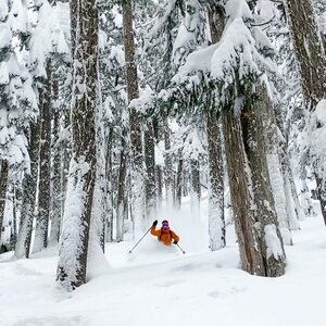 Arc'teryx Procline Jacket Mens