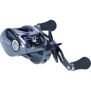 Daiwa 21 Prorex XR TWS 300 P