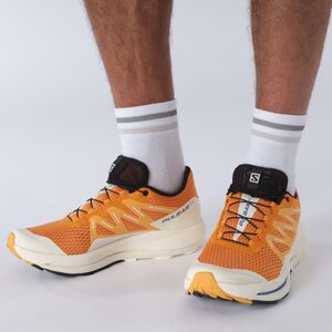 Salomon Pulsar Trail Mens