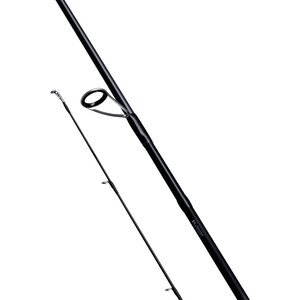 Daiwa Tatula Spin