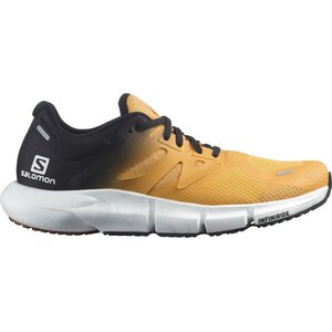Salomon Predict 2 Mens