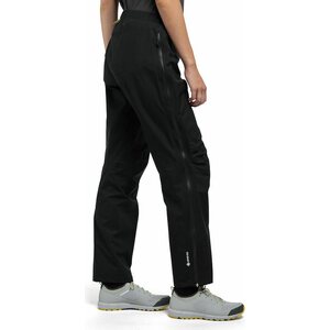 Haglöfs L.I.M GTX Pant Women Long (2022)