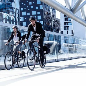 Ortlieb Downtown 2 QL2.1 "Classic PD620"