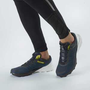 Salomon Sense 4 Pro Mens