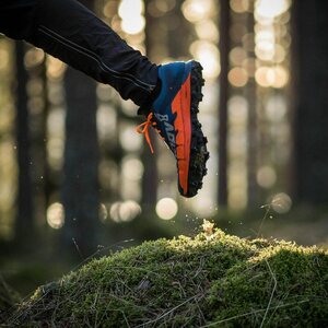 Inov-8 Oroc 270 Mens