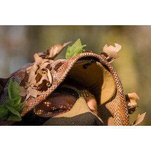 SC Ghillie Le Covert Sartorialist Oak Master Cobra (Multi-Season)