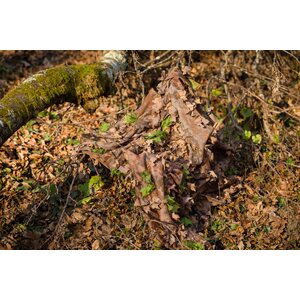 SC Ghillie Le Covert Sartorialist Oak Master Cobra (Multi-Season)