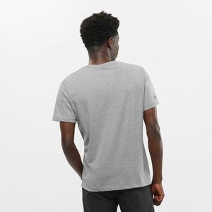 Salomon Outlife Graphic Mountain Heather Short Sleeve T-Shirt Mens