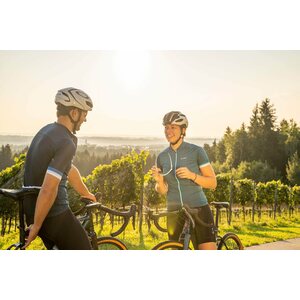 Löffler Bike Jersey FZ Pure Womens