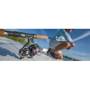 Daiwa 21 Ballistic MQ LT