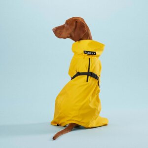 Paikka Visibility Raincoat Lite for Dogs