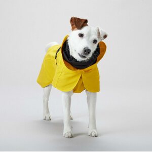 Paikka Visibility Raincoat Lite for Dogs