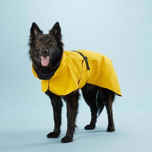Paikka Visibility Raincoat Lite for Dogs