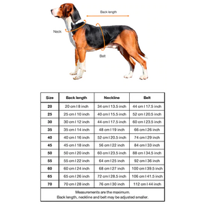 Paikka Visibility Raincoat Lite for Dogs