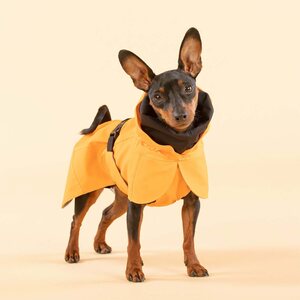 Paikka Recovery Raincoat for Dogs