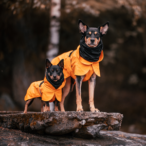 Paikka Recovery Raincoat for Dogs