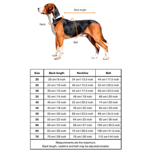 Paikka Recovery Raincoat for Dogs