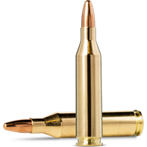 .243 Win patruunat