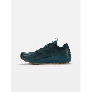 Arc'teryx Norvan LD 3 Shoe Mens