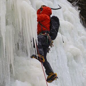 Arc'teryx C-Quence Harness Mens