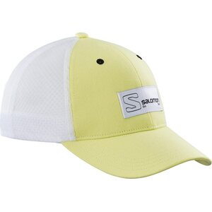 Salomon Trucker Curved Cap