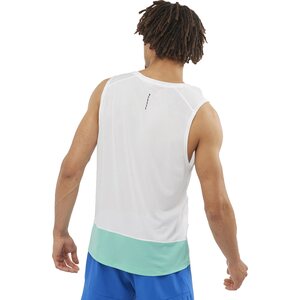 Salomon Cross Run Graphic Tank Mens