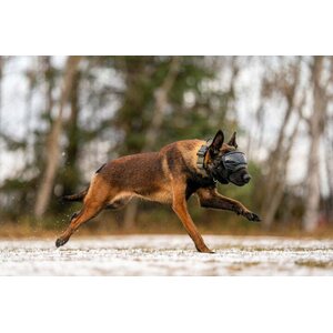 Rex Specs V2 Goggle