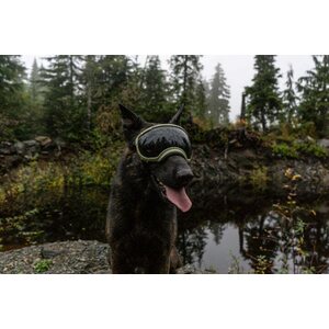 Rex Specs V2 Goggle