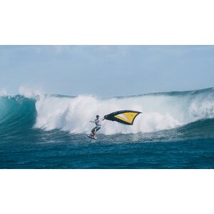 Ozone WASP V3 Wing 3.0m²