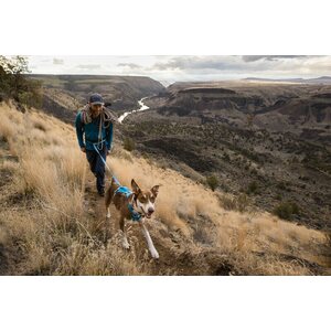 Ruffwear Flagline Harness
