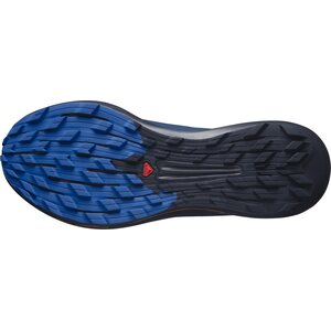 Salomon Pulsar Trail/PRO Mens
