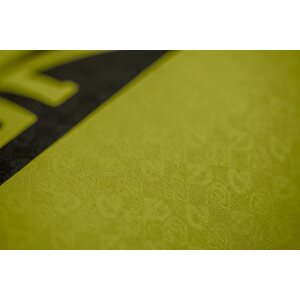 Nemo Astro Insulated Regular