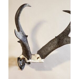 Skull Hooker Bone Bracket