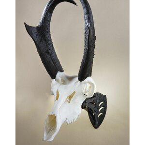 Skull Hooker Little Hooker