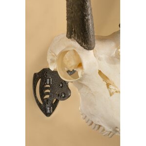 Skull Hooker Mini Hooker