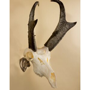 Skull Hooker Mini Hooker