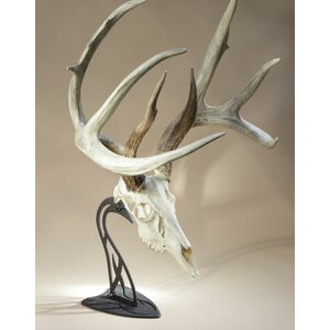 Skull Hooker Table Hooker