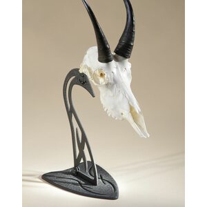 Skull Hooker Table Hooker
