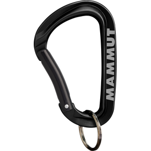 Mammut Mini Carabiner Workhorse Keylock L