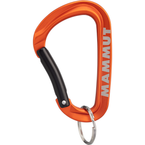 Mammut Mini Carabiner Workhorse Keylock L