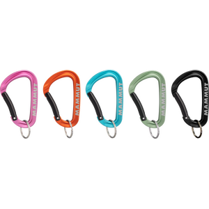 Mammut Mini Carabiner Workhorse Keylock L