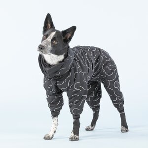 Paikka Winter Suit for Dogs
